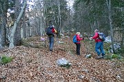10 Salendo nella vasta pineta